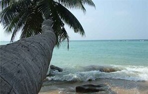 Na praia, passeios de caiaque 