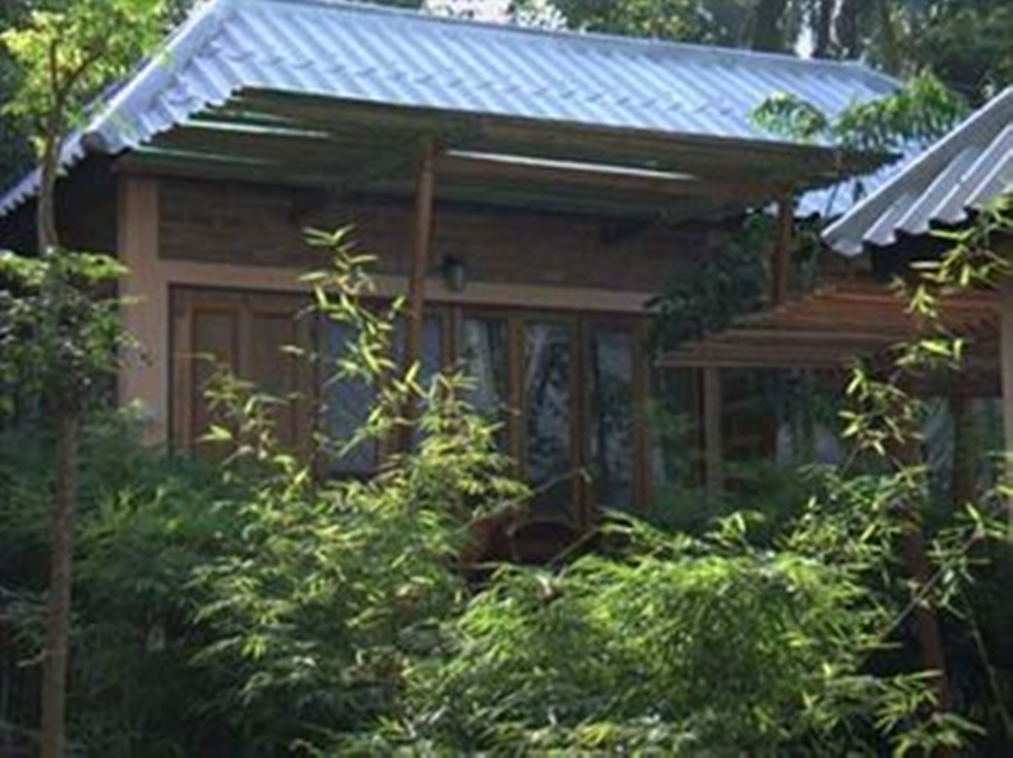 standard twin bed | view from room