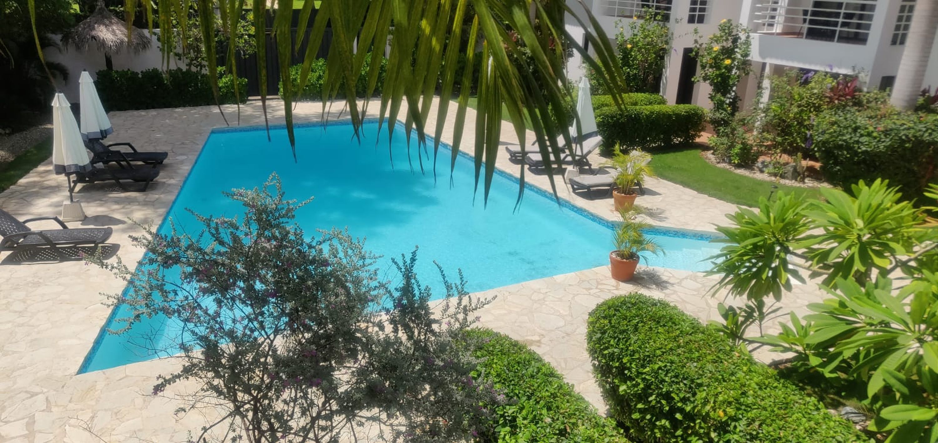 A rectangular swimming pool with lounge chairs and potted plants around it.