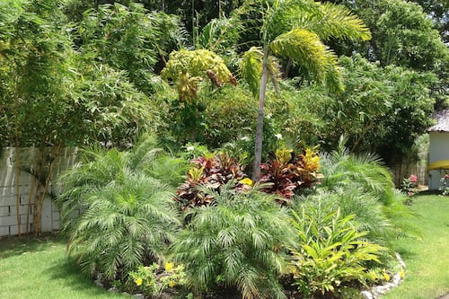 Jardín