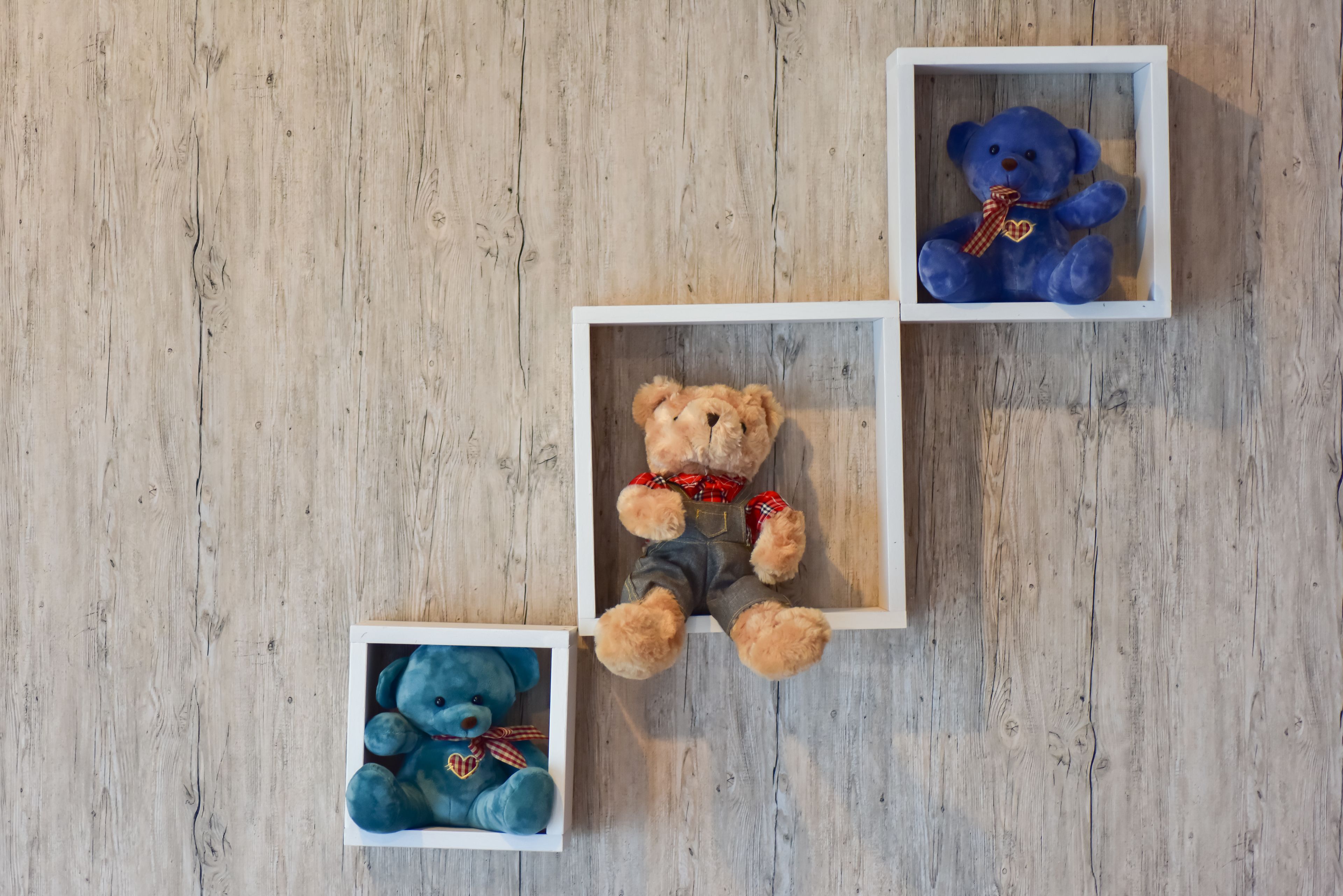 Drie witte vitrines met teddyberen op een houten vloer.