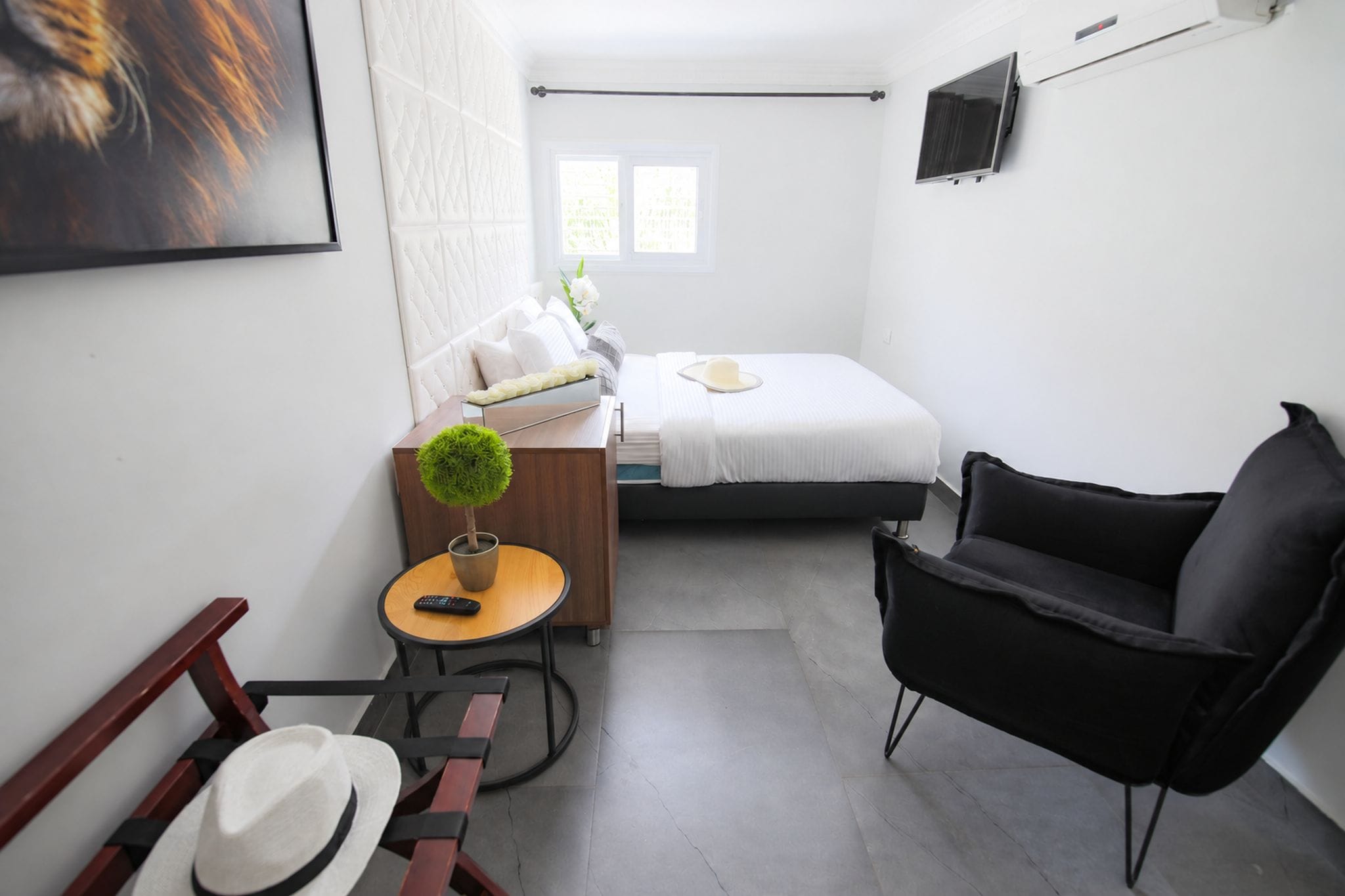 A compact hotel room with a bed, a small table with a plant, a chair, and a TV mounted on the wall.