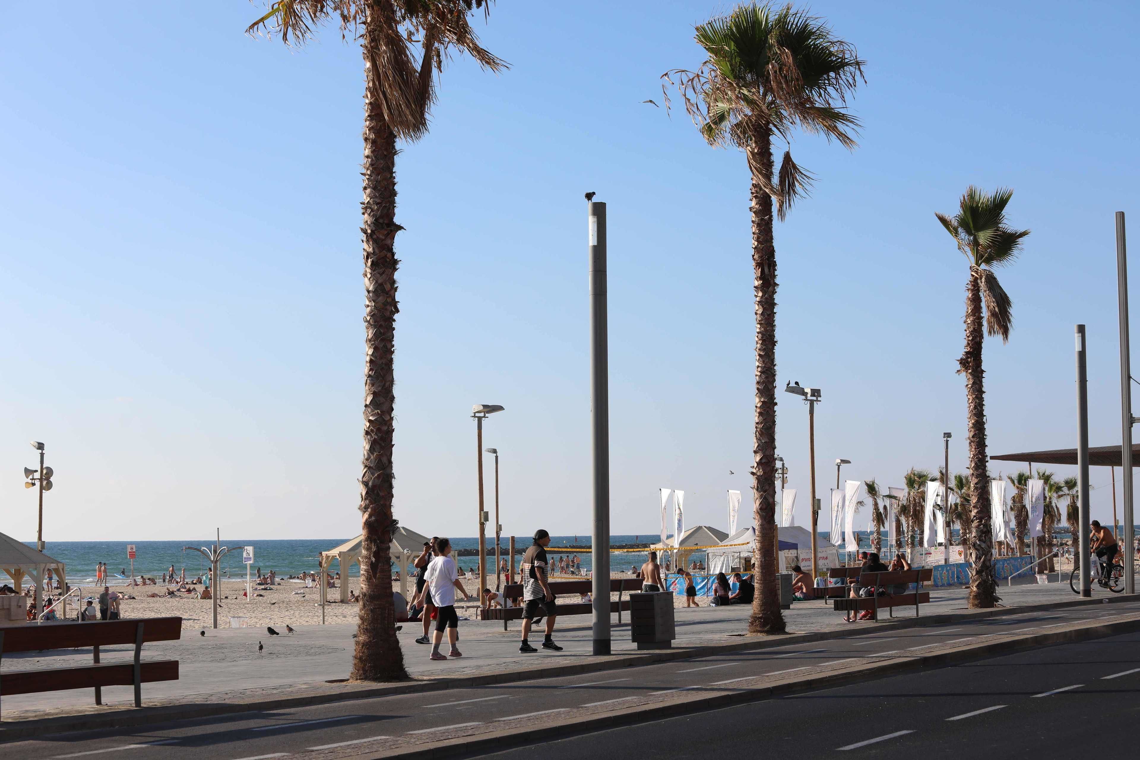 on the beach, 10 beach bars