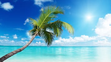 Beach nearby, white sand