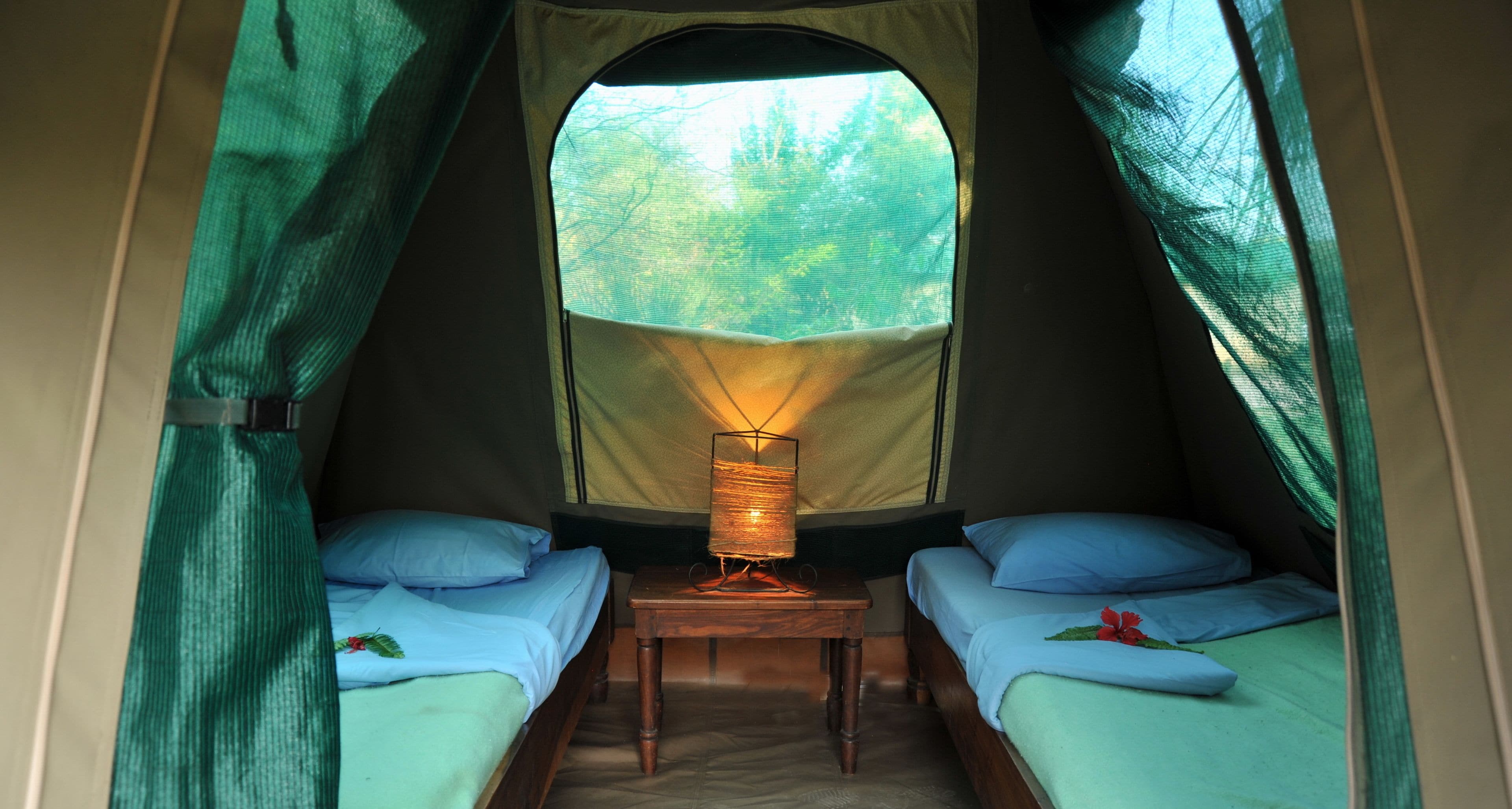 Ein Zelt mit zwei Betten, einem Tisch mit Lampe und Blick auf Bäume durch ein Fenster.