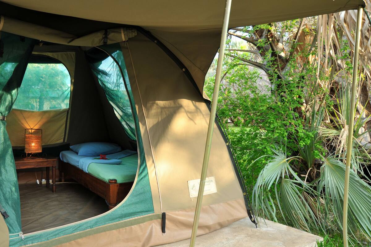 A tent with a bed, a table with a lamp, and a view of greenery outside.