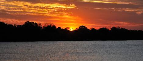 A sunset over a body of water with silhouettes of trees in the foreground.