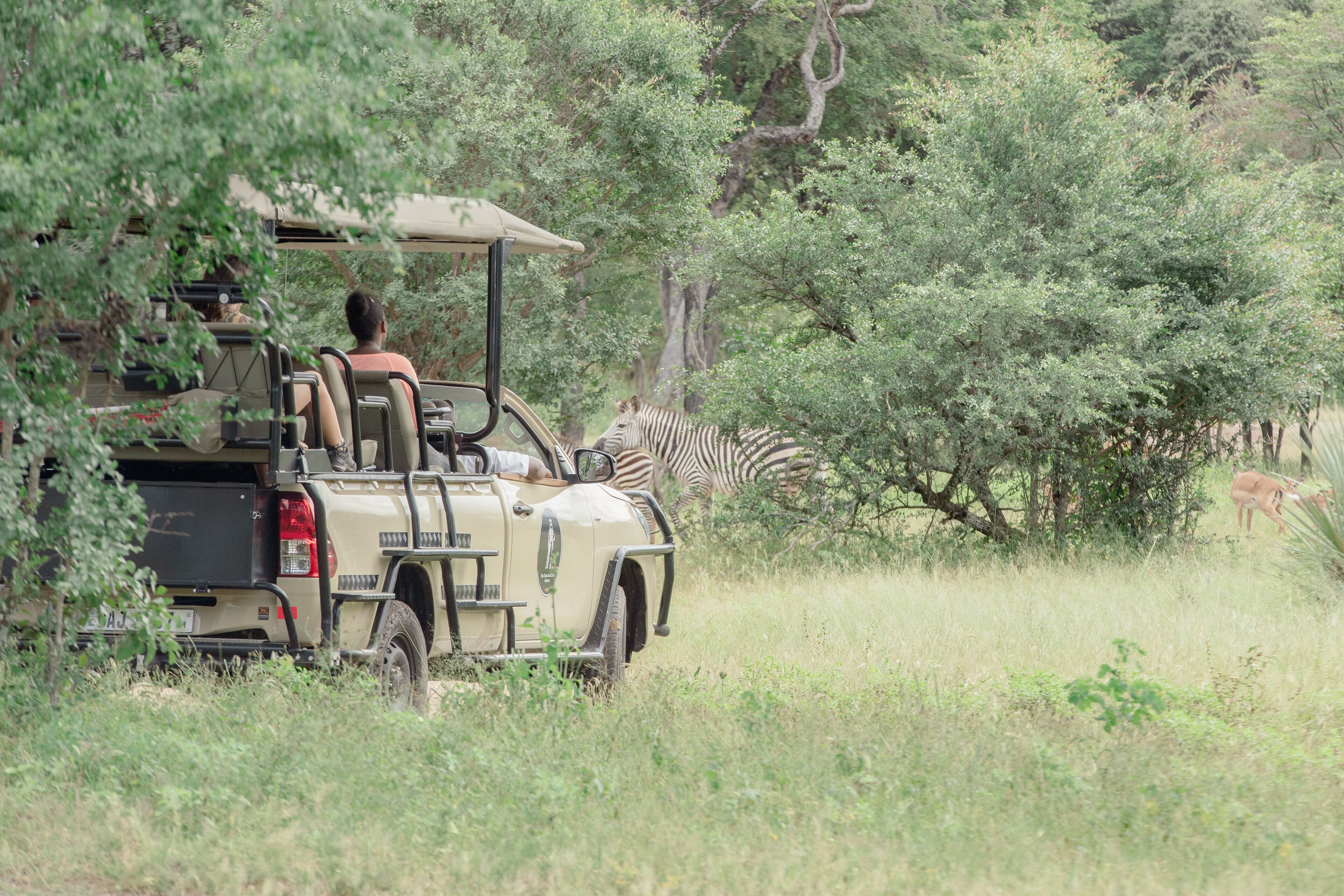 Vehículo safari con techo, un conductor y un pasajero, rodeado de árboles y fauna silvestre.