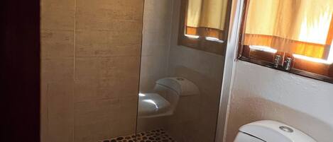 A bathroom with a shower, toilet, and a mirror.