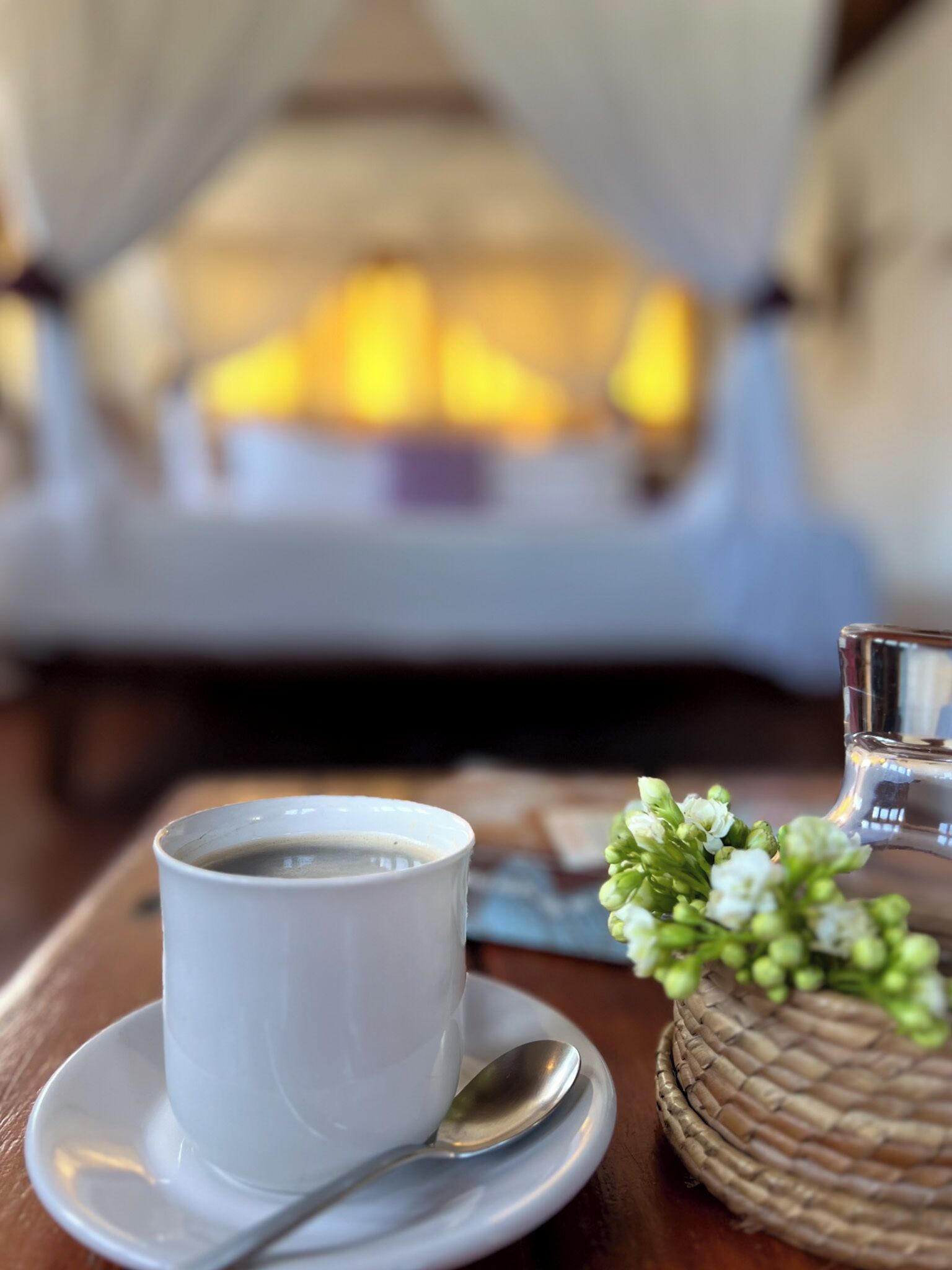 Una taza de café blanca sobre un plato, un vaso de agua y una pequeña planta en una mesa de madera.