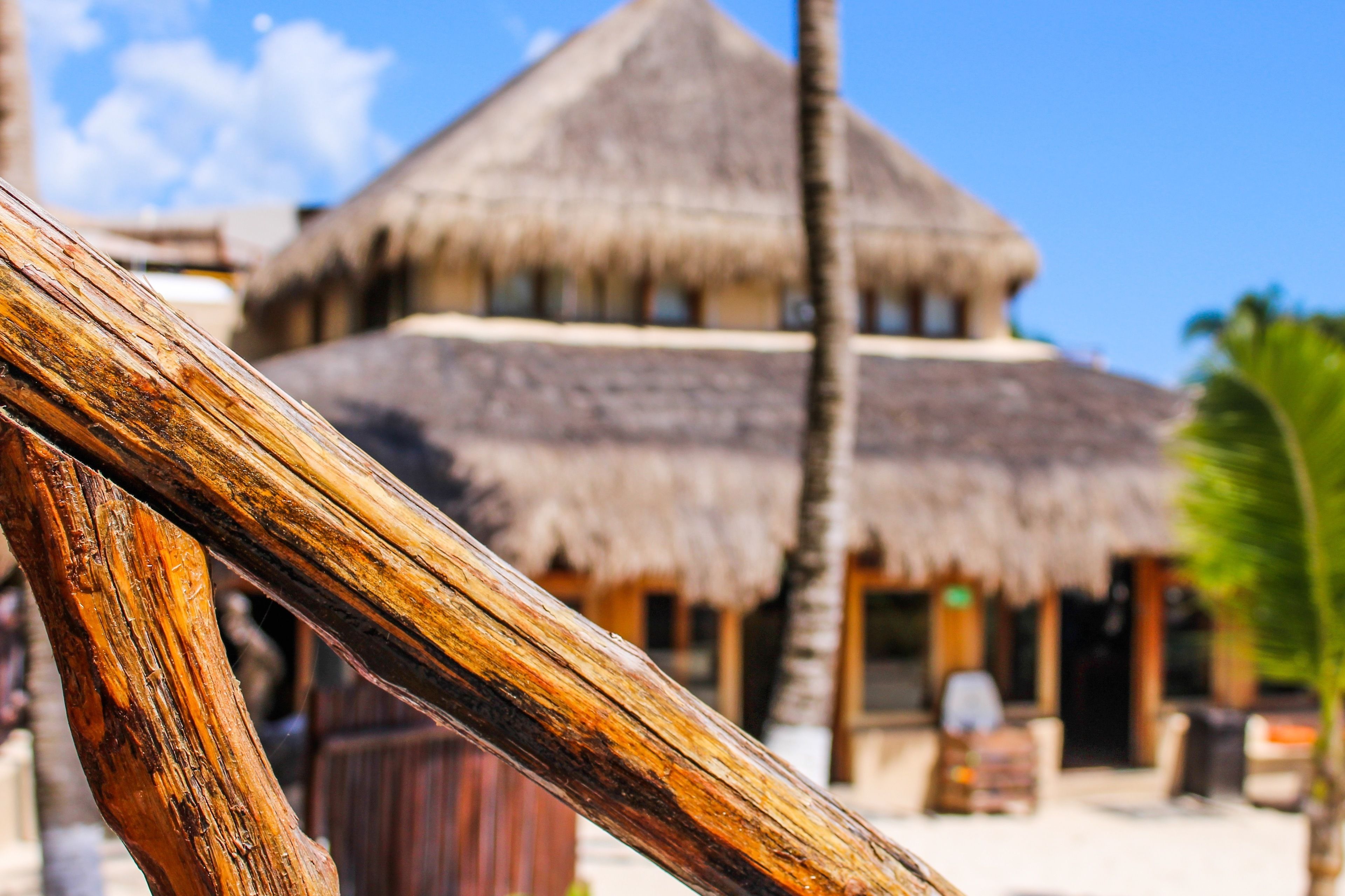 A thatched-roof building with a clear view of the beach and palm trees in the foreground.