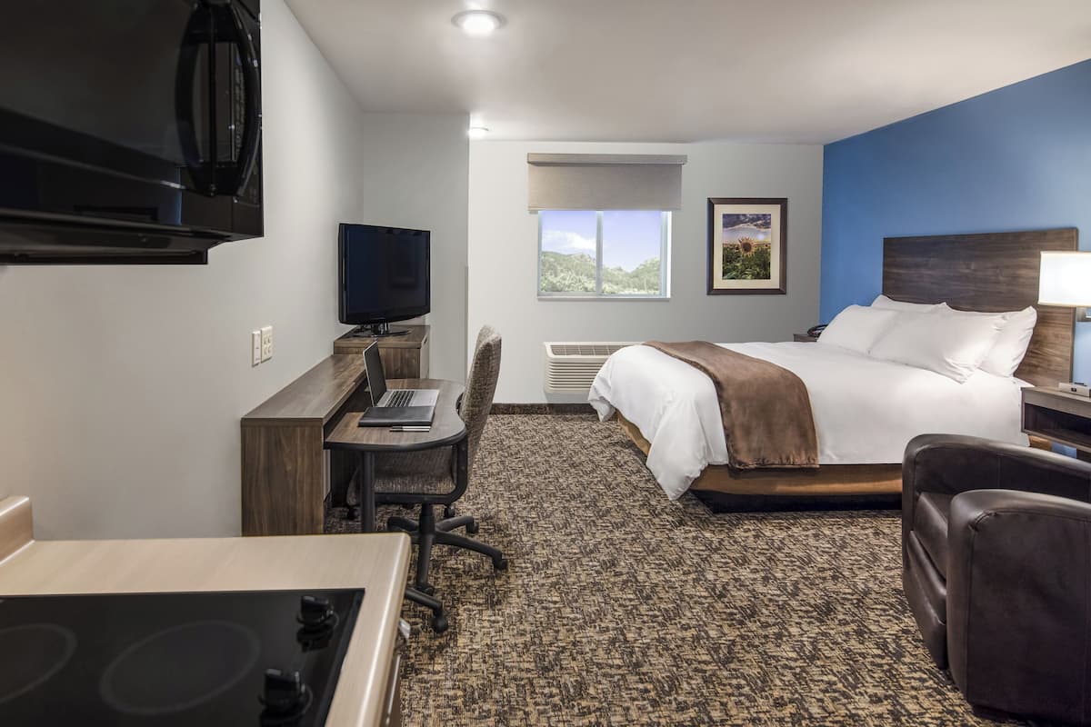 A hotel room with a bed, desk, chair, TV, and a view of the outdoors.