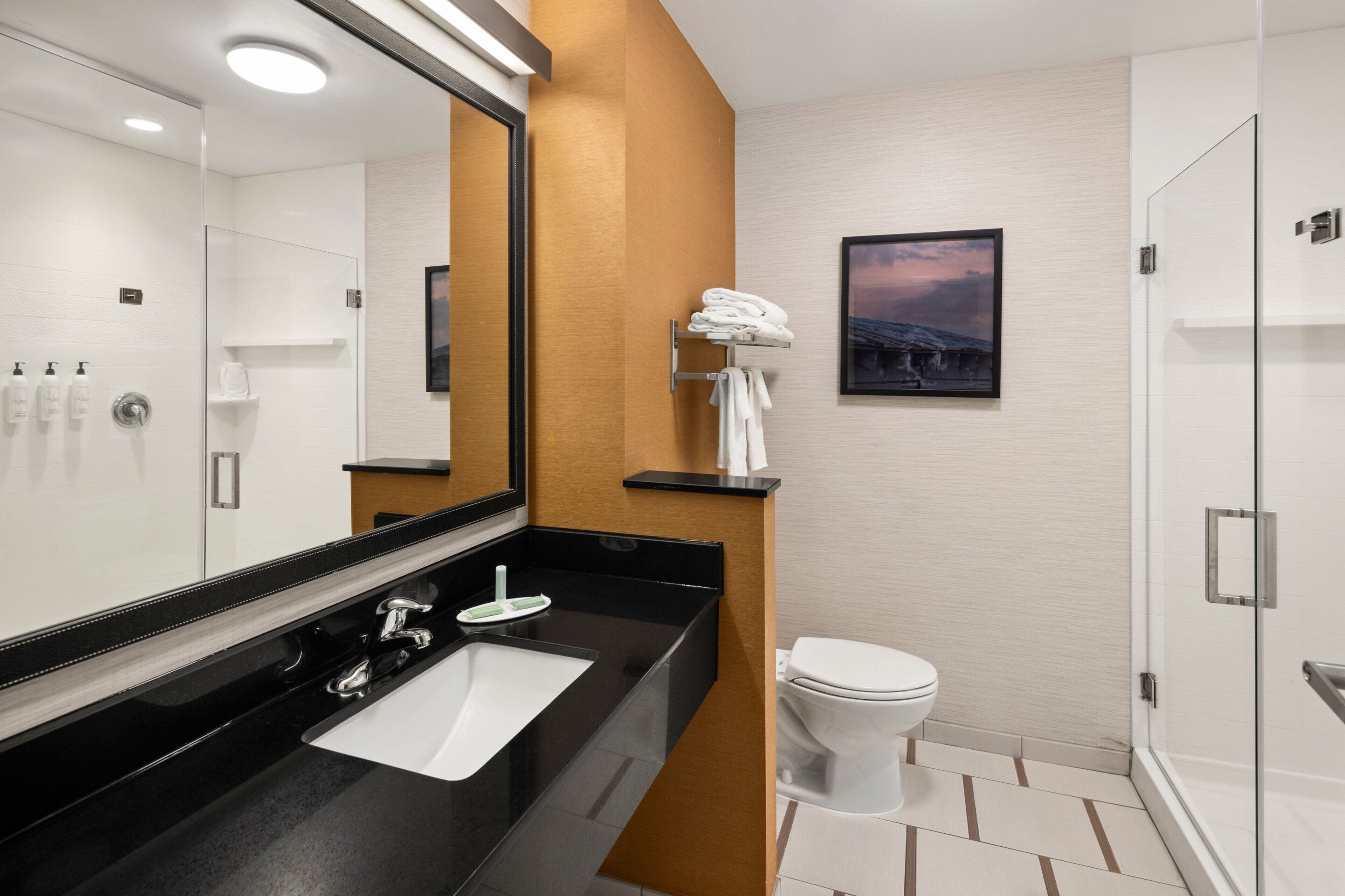 A modern bathroom with a black sink, white toilet, and a glass shower enclosure.