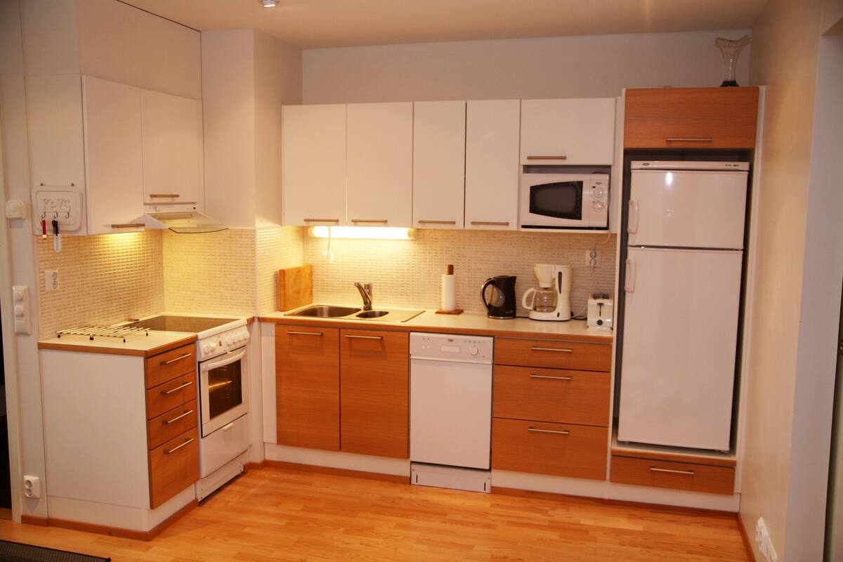 apartment, 1 bedroom, balcony | private kitchen | full-sized fridge, microwave, oven, stovetop