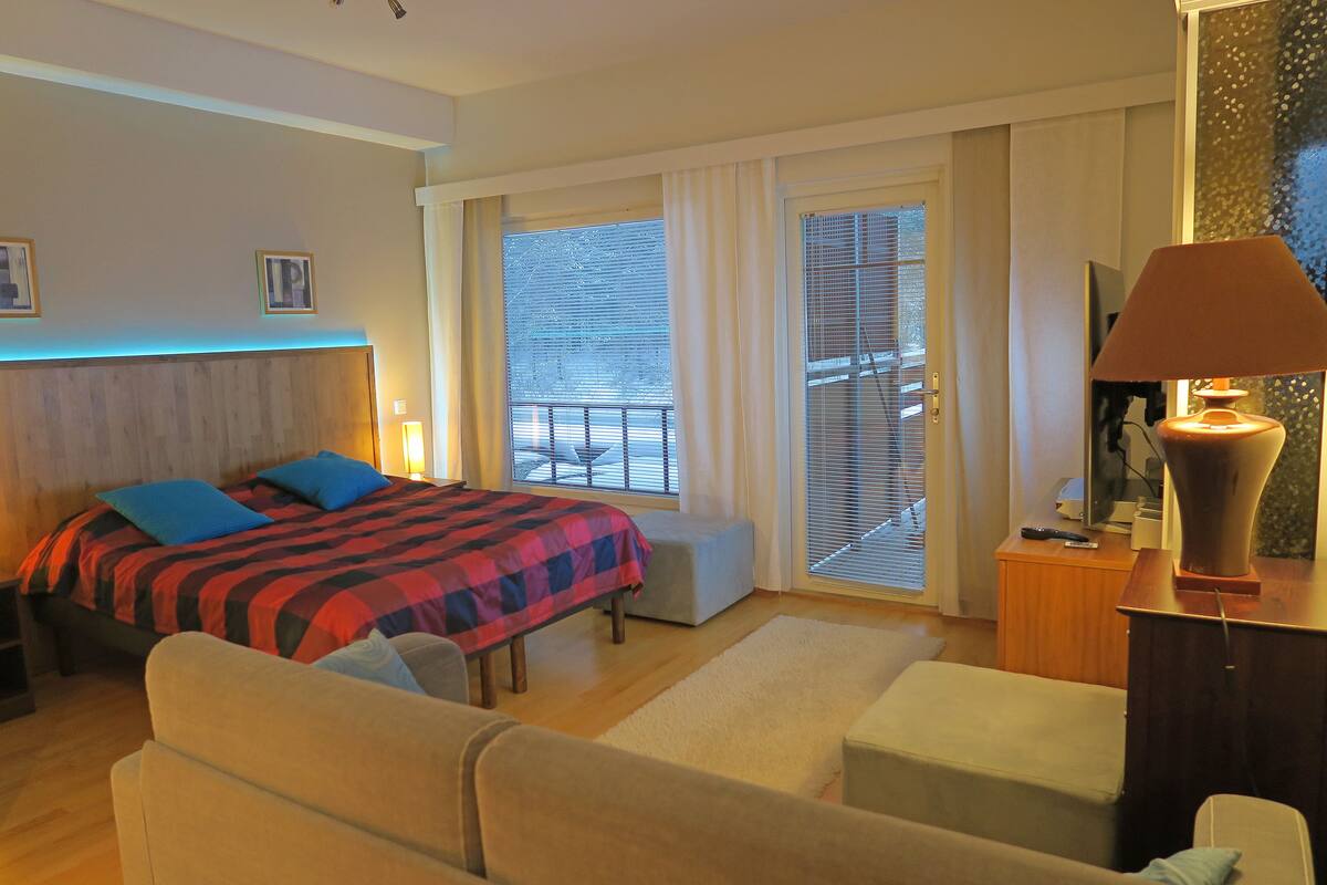 Studio, Sauna | Living room | 50-inch LED TV with cable channels, TV, DVD player