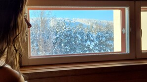 Ein Fenster mit Blick auf eine verschneite Landschaft.