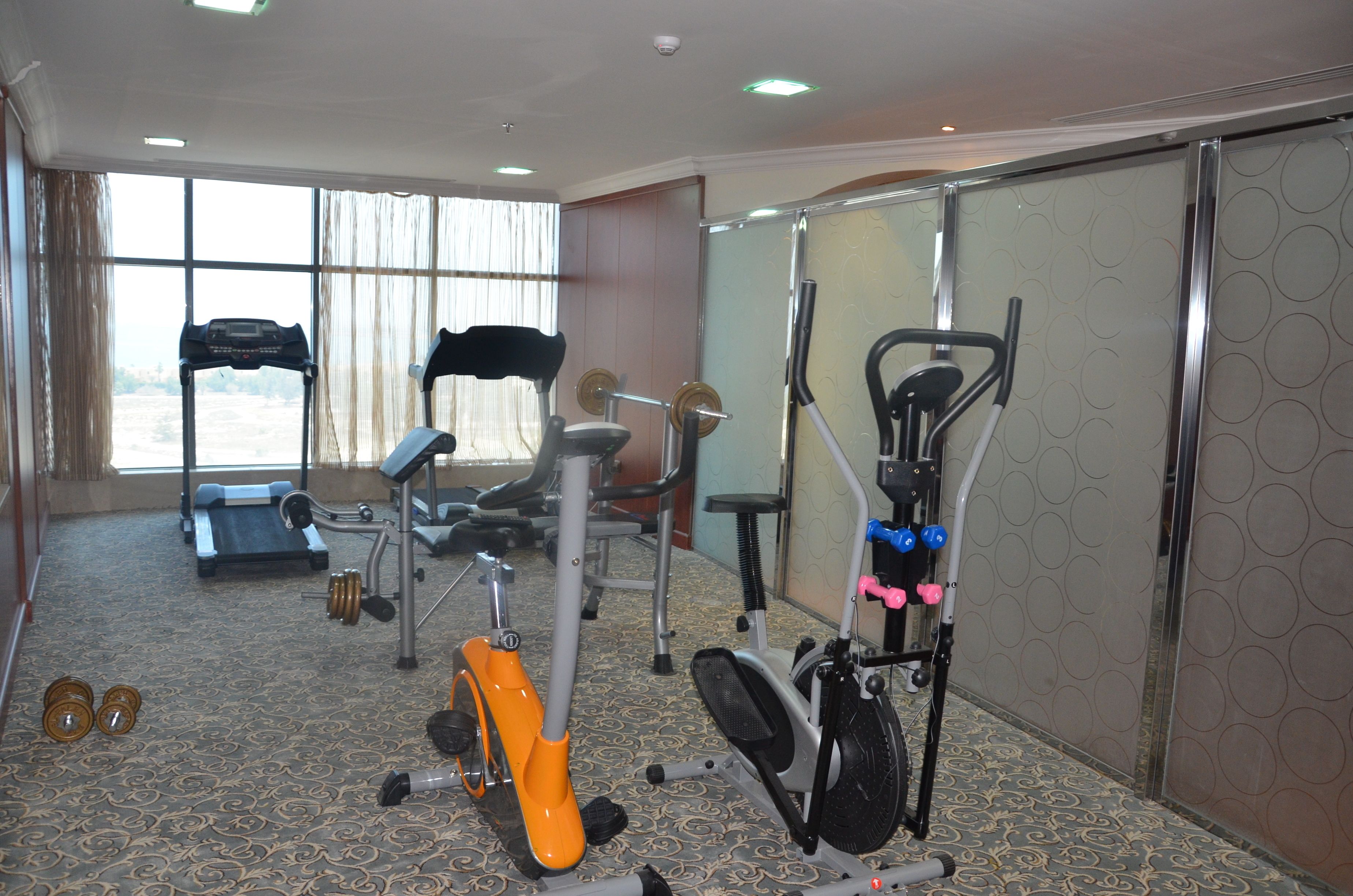 Gimnasium