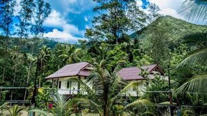 A rural setting with two houses surrounded by lush greenery and palm trees, under a partly cloudy sky. - Hin Bhai Resort (Ko Pha-ngan)