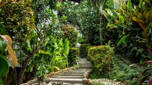 A stone staircase surrounded by lush greenery and tropical plants. - Zama Resort (Ko Pha-ngan)