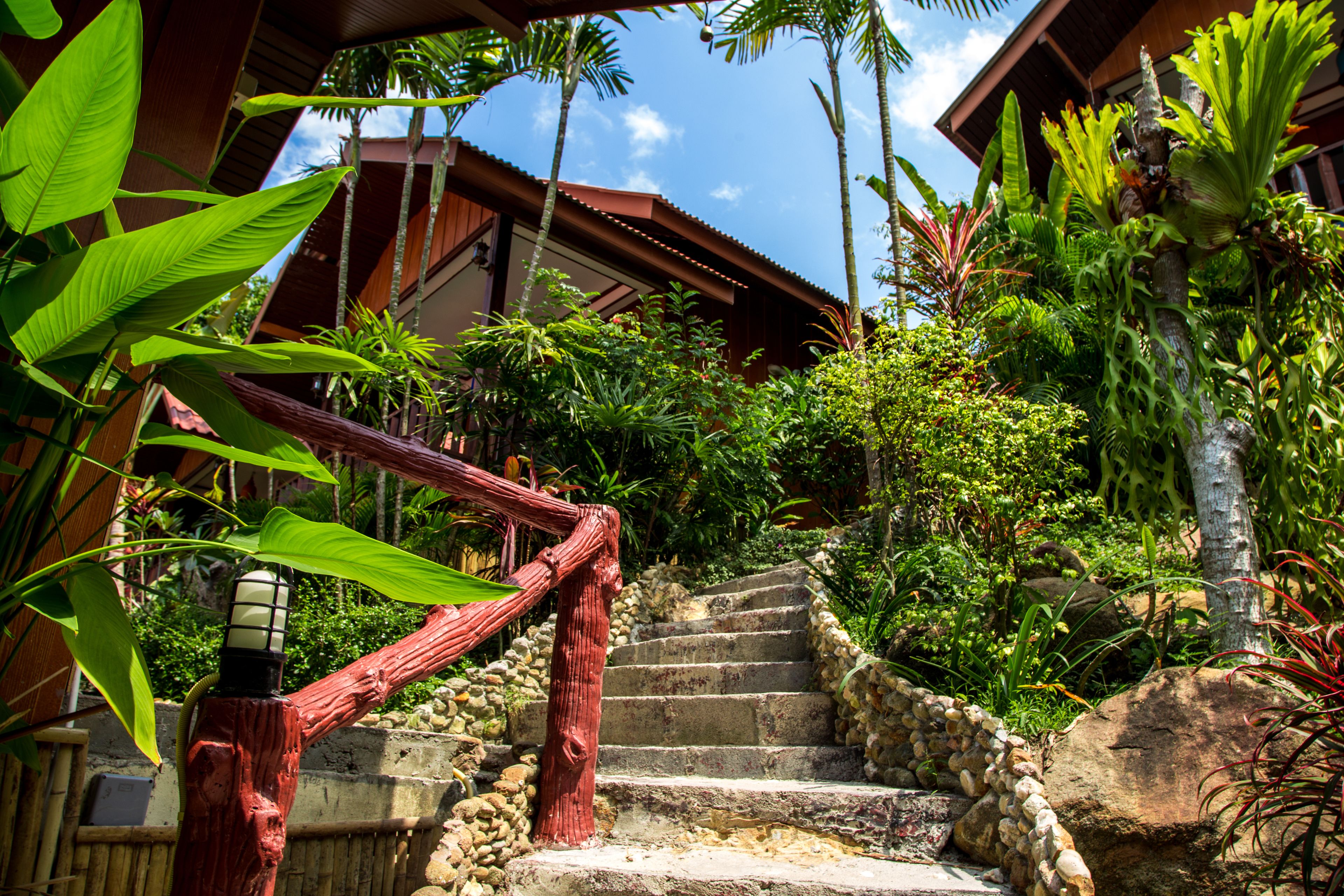 Una escalera con barandilla roja que conduce a un edificio rodeado de exuberante vegetación tropical.