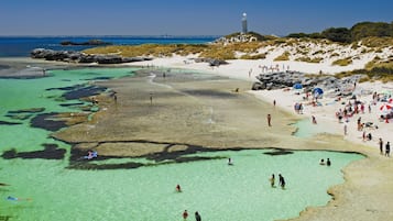 Beach nearby, white sand, 2 beach bars, fishing