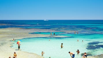 Playa en los alrededores y playa de arena blanca 