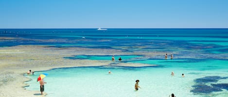 Una spiaggia nelle vicinanze, sabbia bianca, 2 bar sulla spiaggia, pesca