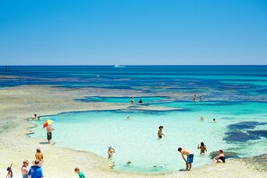 A beach with clear turquoise water, people swimming and sunbathing, and a boat in the distance.