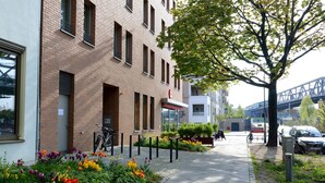 A building with a brick facade, a bicycle parked outside, and a flower bed with tulips.
