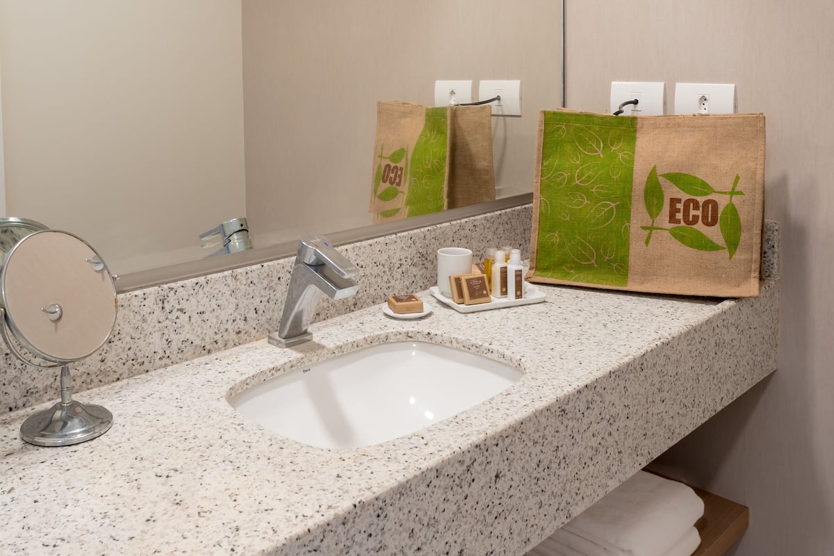 shower, free toiletries, hair dryer, towels