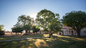 A grassy area with trees and a building with a red roof. - Dornhügel Guestfarm (Grootfontein)