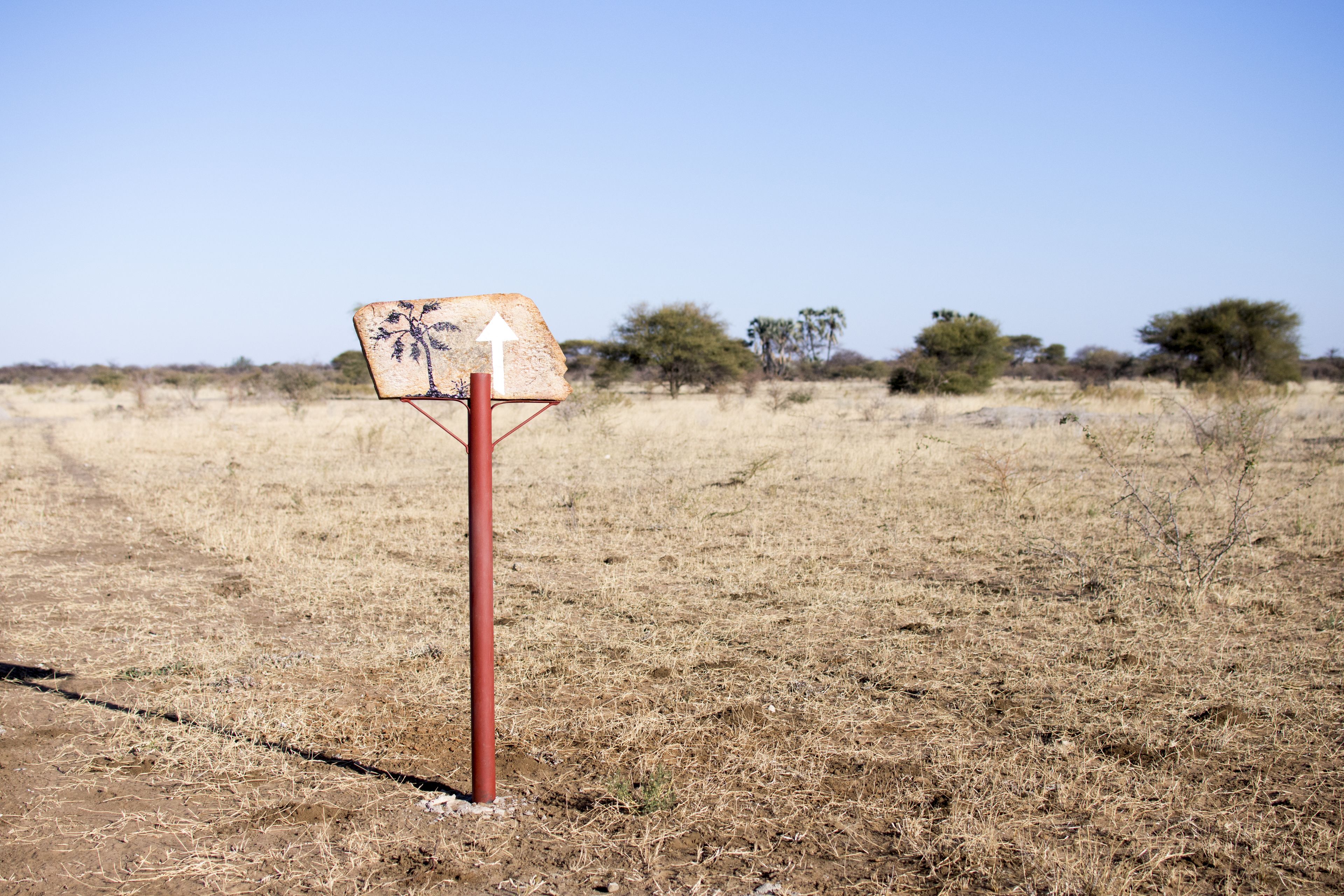 A sign with palm tree graphics and an arrow pointing upwards, set against a dry, grassy landscape with sparse trees.