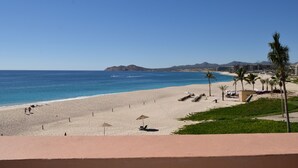 A beach with clear skies, a sandy shore, and palm trees. - Casa del Mar Condos (San José del Cabo)