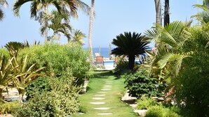 A well-maintained garden path leading to a pool area, surrounded by palm trees and various shrubs. - Casa del Mar Condos (San José del Cabo)
