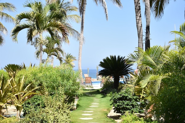 Basic Room Condominio Tortuga 103 | Garden view