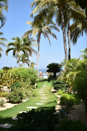 Basic Room Condominio Tortuga 103 | Garden view