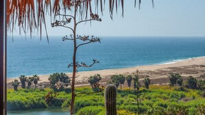 Vista de la playa desde una estructura de techo de paja, con un cactus y follaje en primer plano.