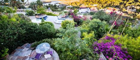 Zona residencial con piscina, abundante vegetación y vistas al océano.