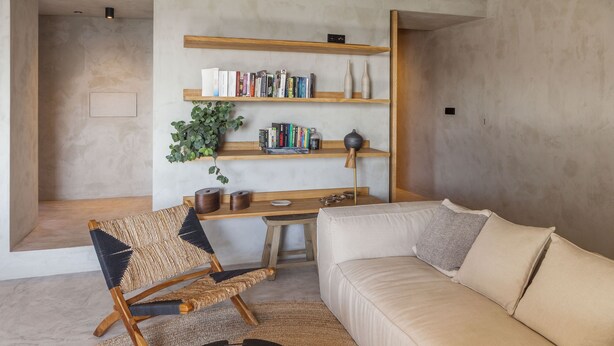 A modern living room with a sofa, a chair, a desk, shelves with books, and a plant.