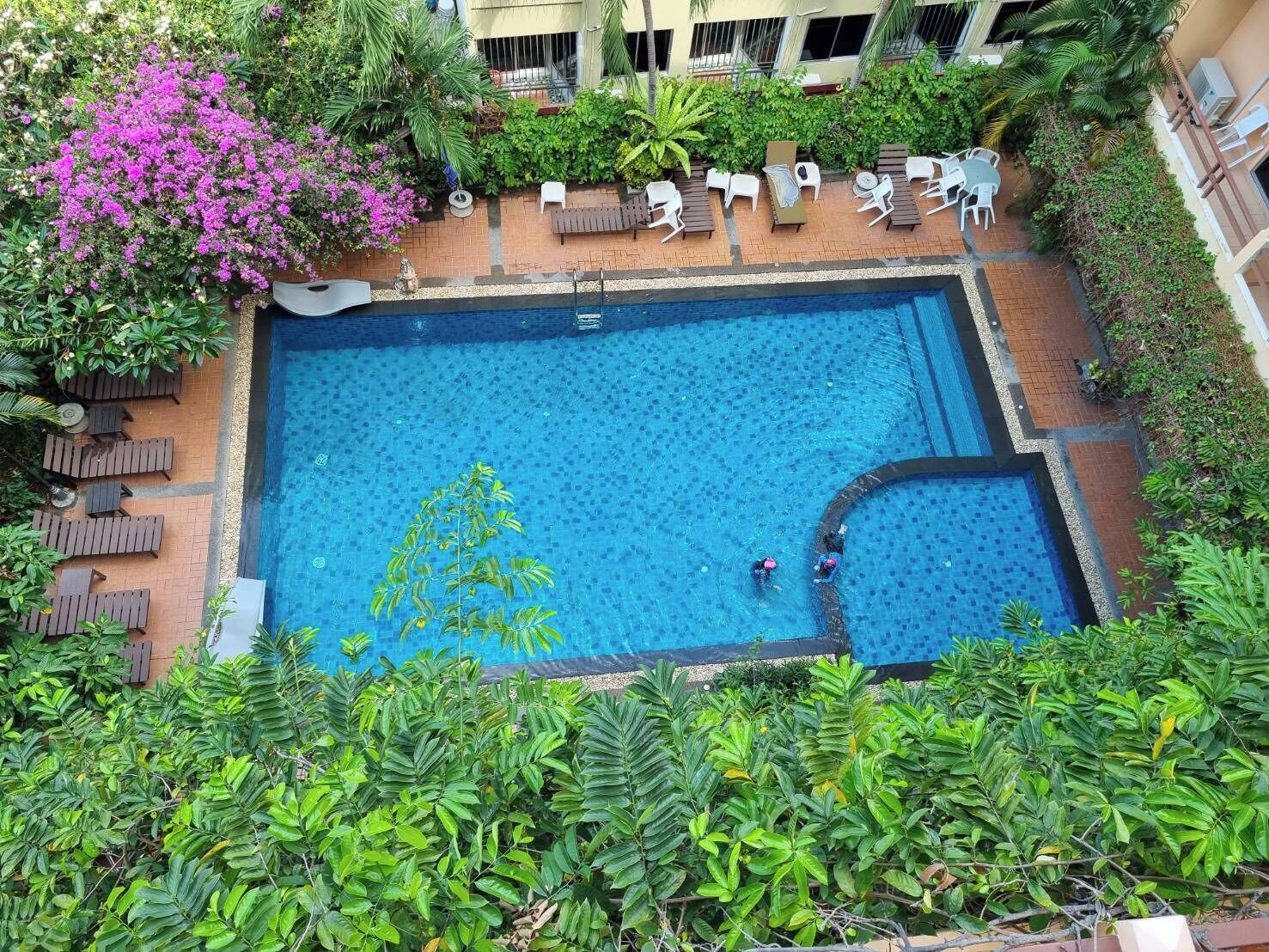 A rectangular swimming pool with a tiled deck, surrounded by lounge chairs and greenery.