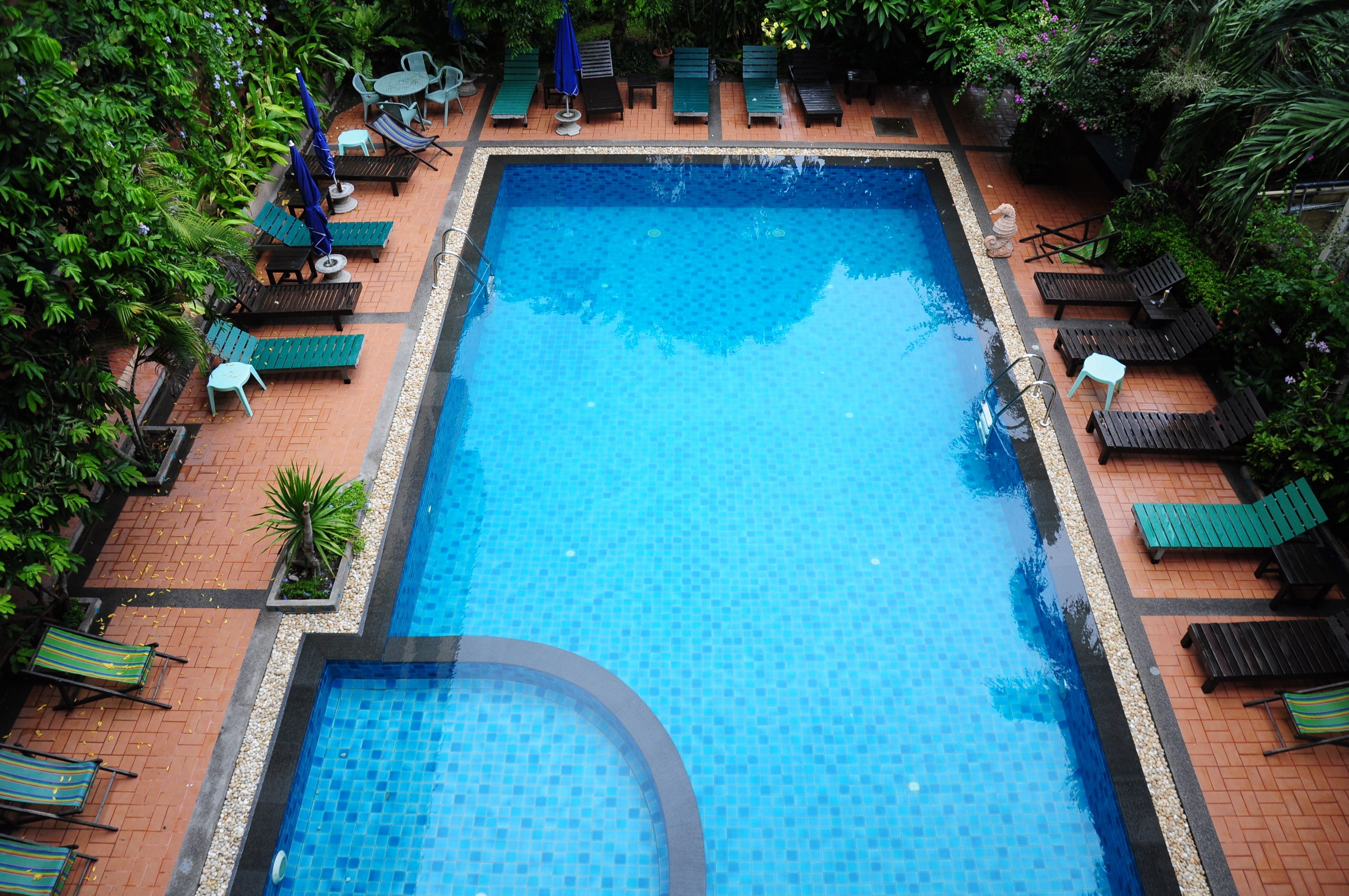 Outdoor pool, sun loungers