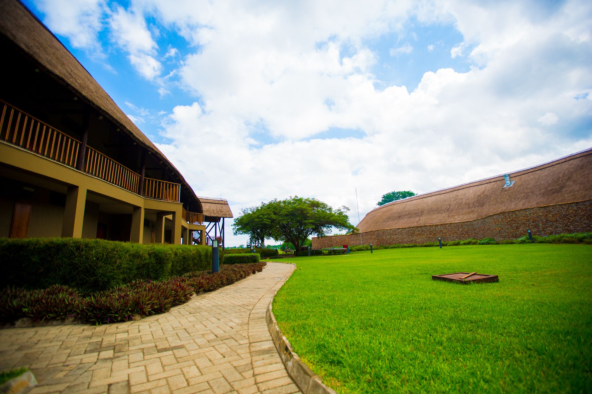 A pathway leading to a building with a thatched roof and a large tree in the center.