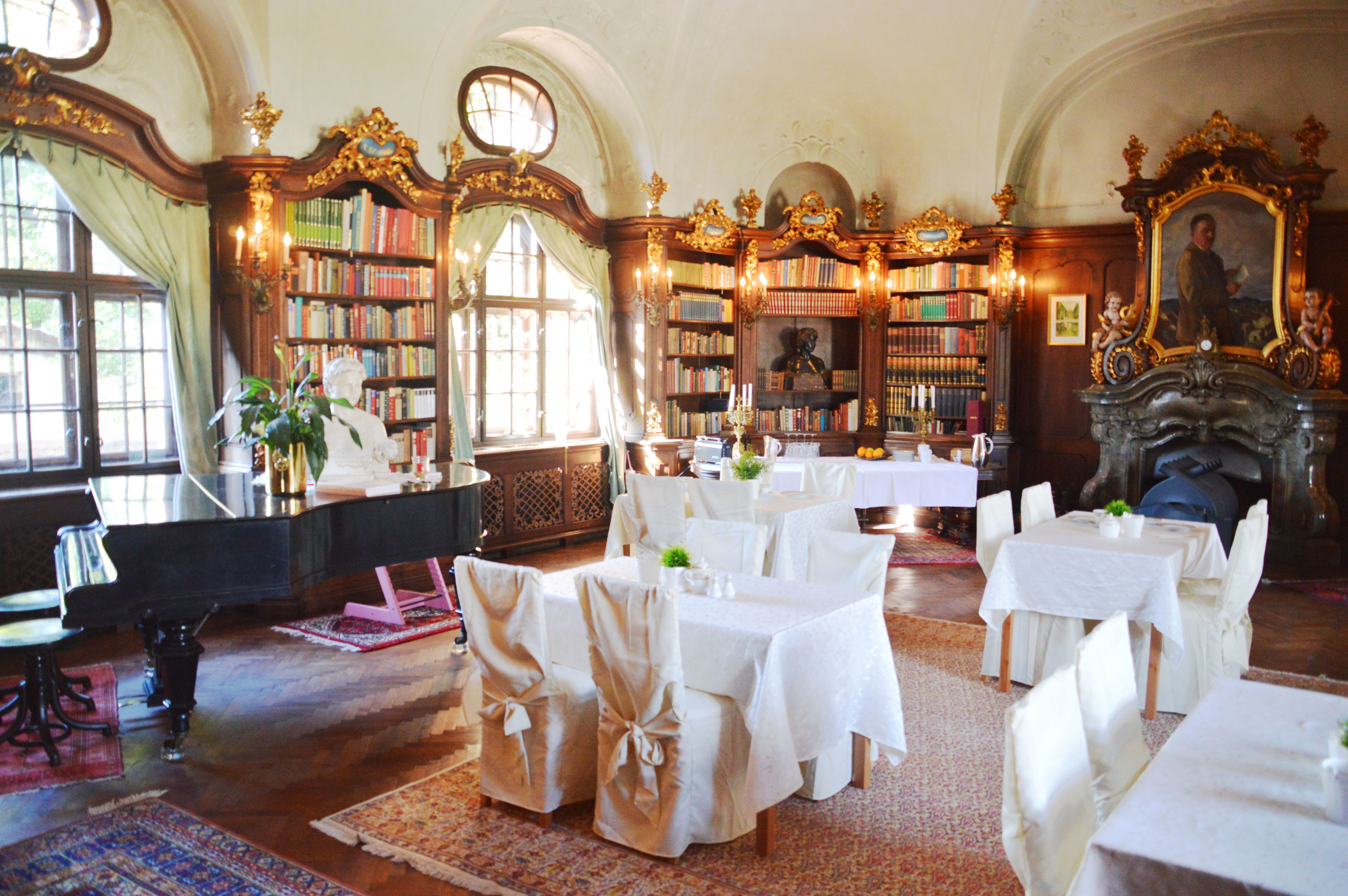 بوفيه فطور مجانًا يوميًا