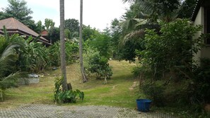 Garden - Pattara House (Koh Samui)