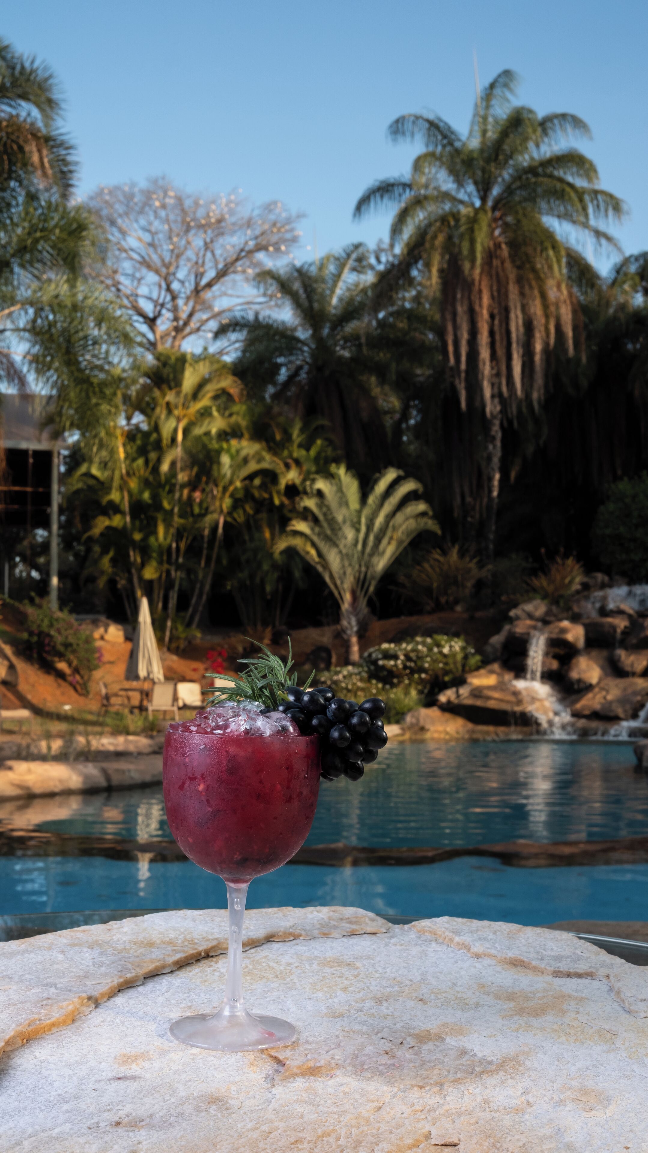 A glass of red drink with grapes on a stone surface by a pool with palm trees and a waterfall in the background.