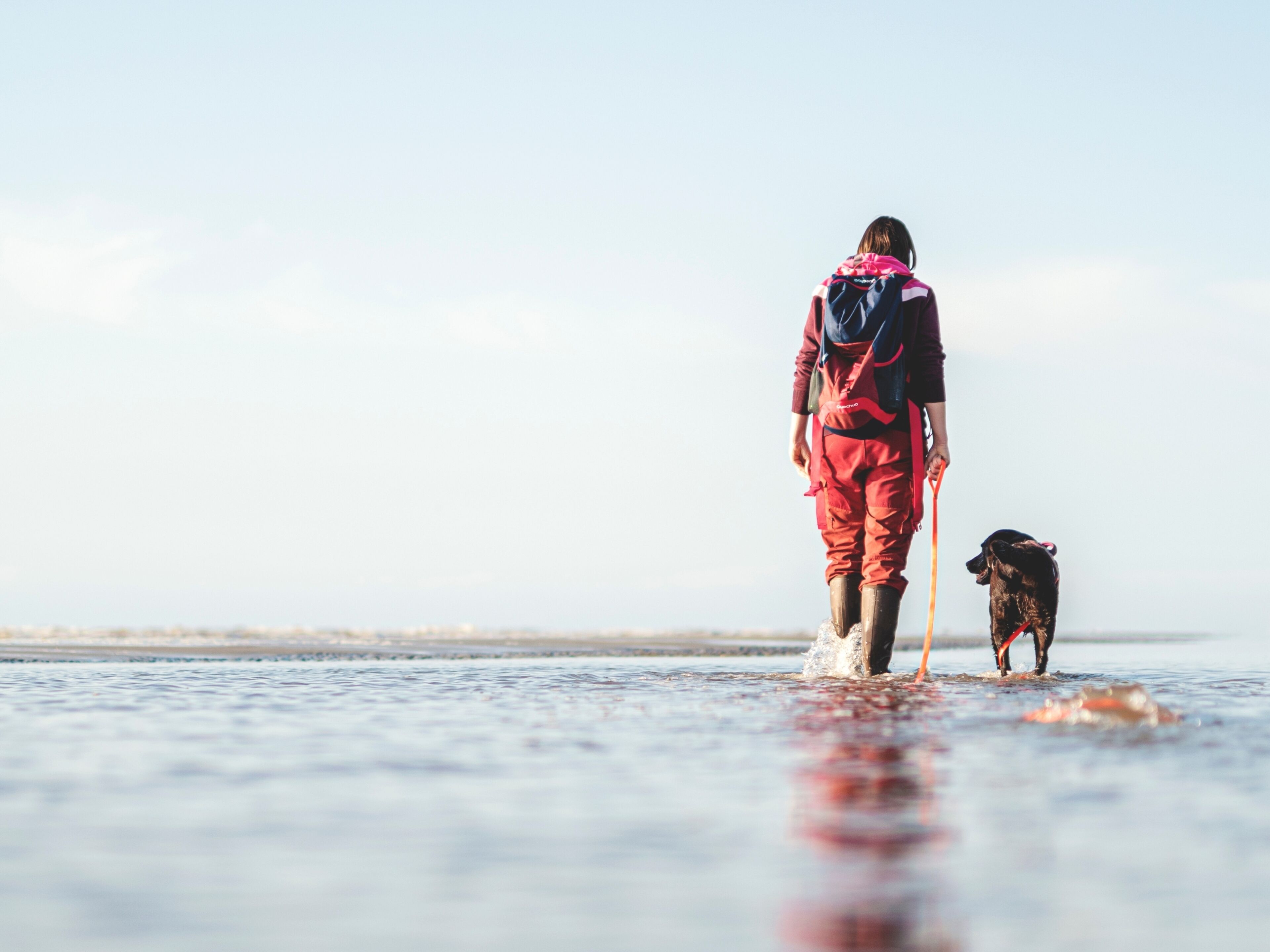 Una persona con equipo deportivo rojo y azul pasea un perro en la playa.