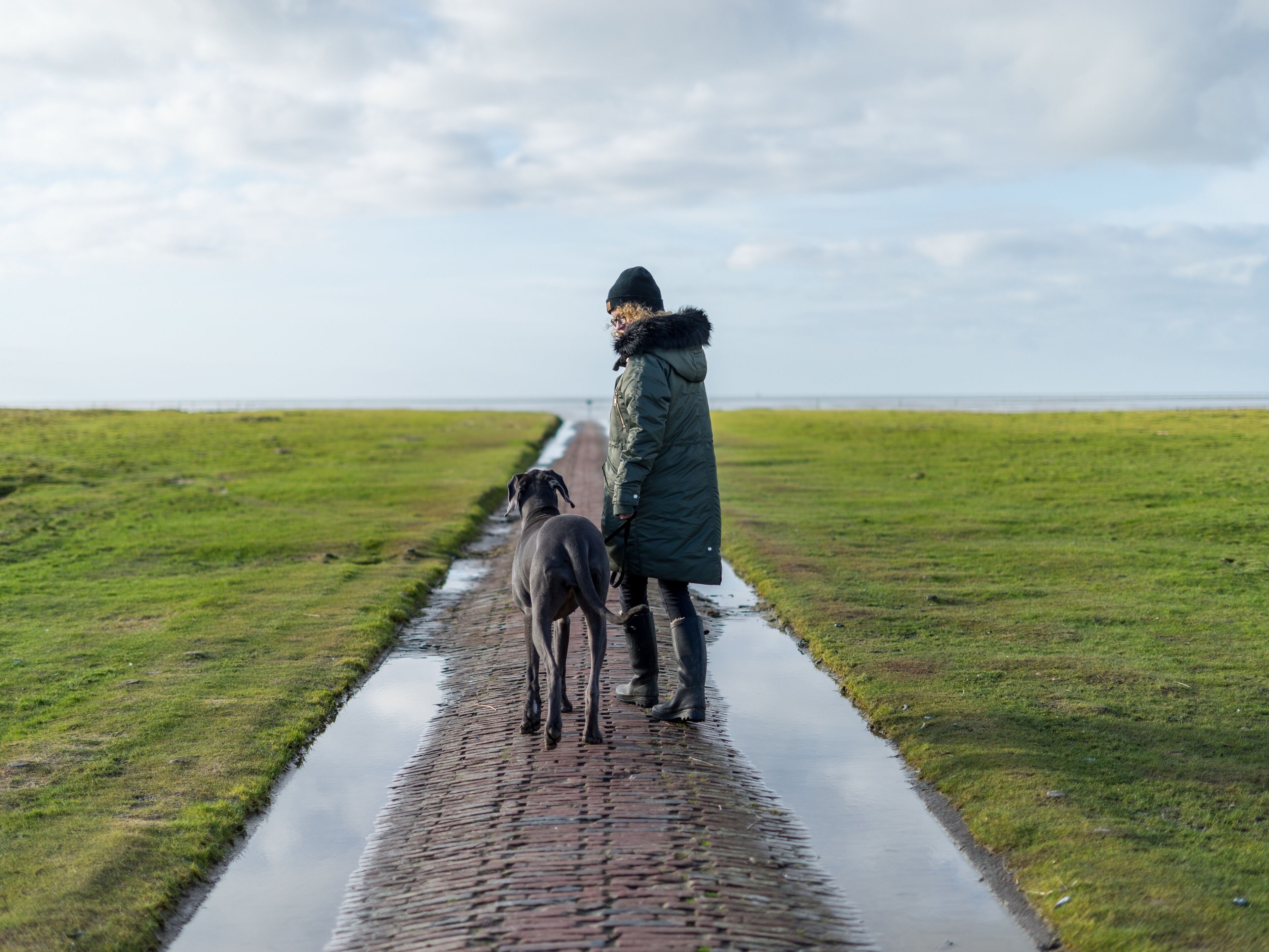 A person walking a dog on a brick pathway.