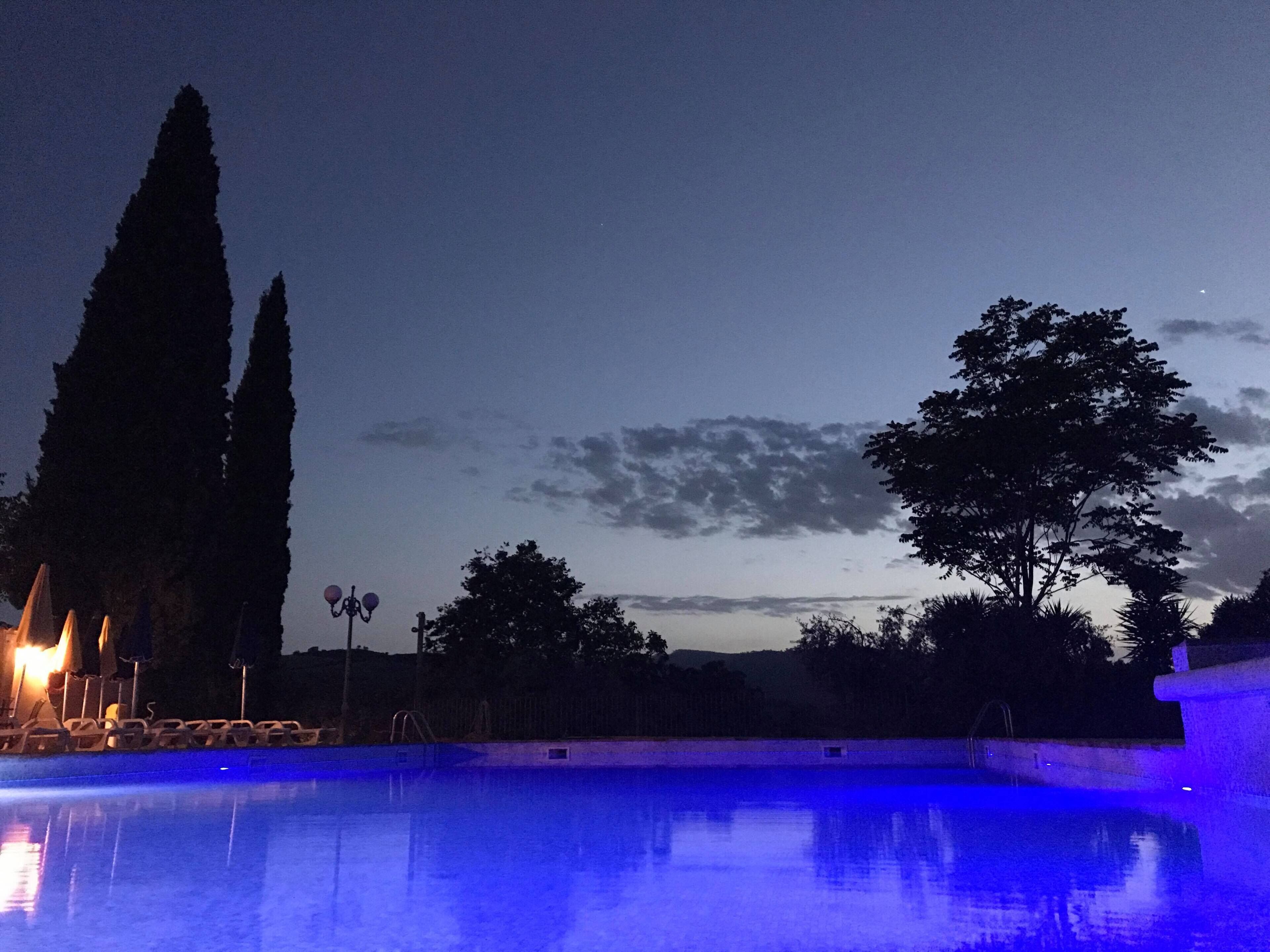 A nighttime pool area with a clear sky, tall trees, and a calm water surface reflecting lights.