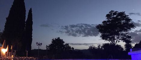 Área de piscina nocturna con cielo despejado, altos árboles y superficie de agua tranquila que refleja luces.