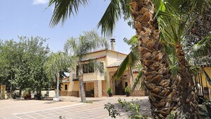 A courtyard with a palm tree, a tiled patio, and a building with a tiled roof and beige walls.